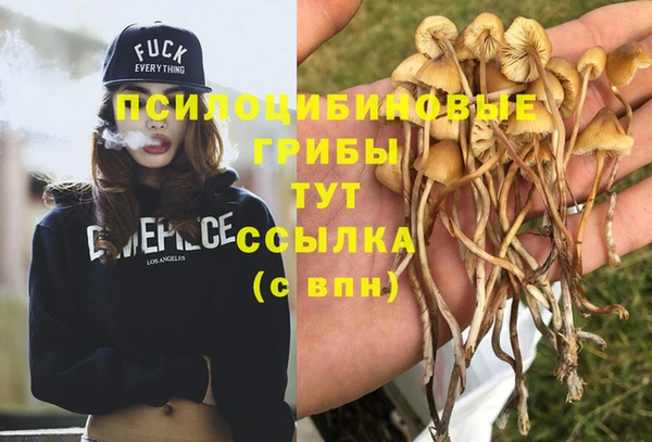 соль курить ск Алексеевка