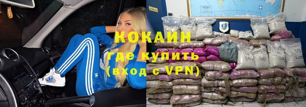 СК Алексин
