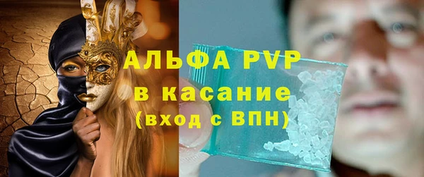 СК Алексин