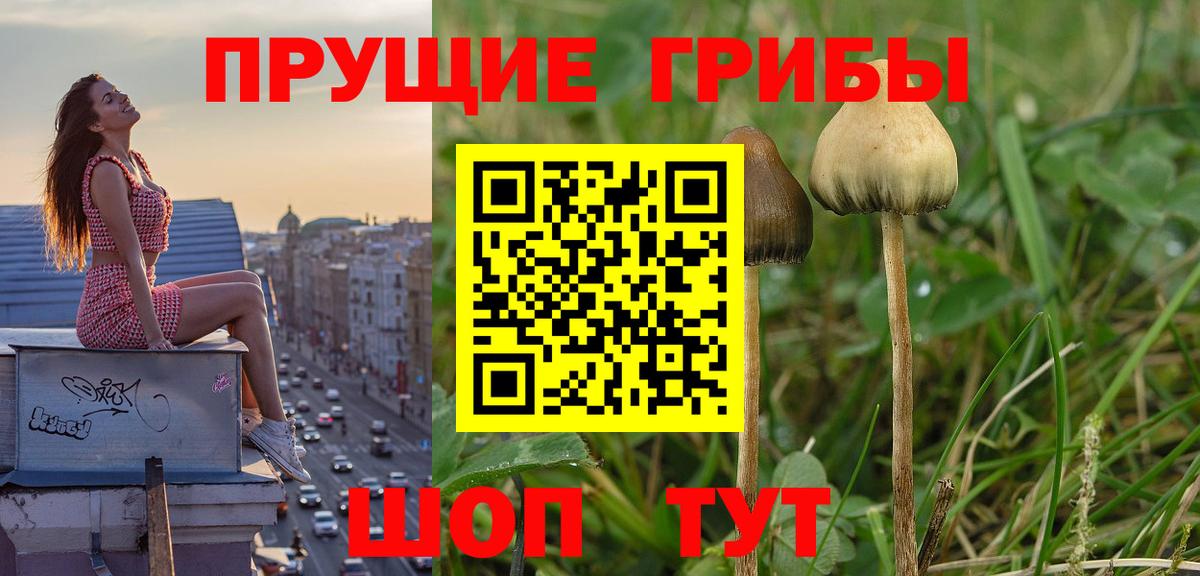 Меф МЯУ МЯУ кристаллы  Метадон  Марихуана  Алексин  Гашиш  Вход с VPN  ЭКСТАЗИ 