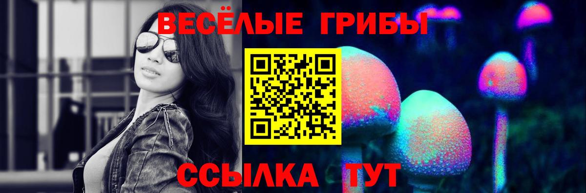 Галлюциногенные грибы MAGIC MUSHROOMS  Вход с VPN  Галлюциногенные грибы ЛСД  Алексин 